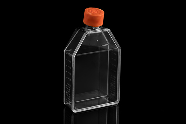 Cell Culture Flask T75